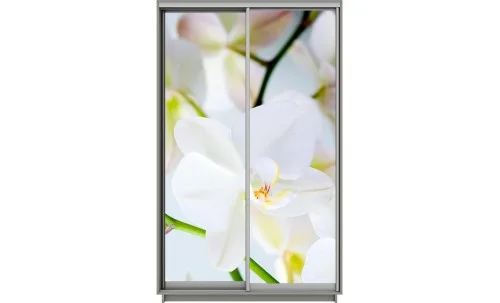 Dulap Print 2 Usi 2050, L100 x H220 x A60