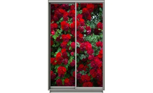 Dulap Print 2 Usi 2054, L100 x H220 x A60