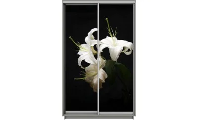 Dulap Print 2 Usi 2069, L100 x H220 x A60