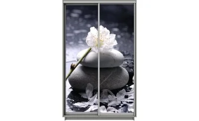 Dulap Print 2 Usi 2070, L100 x H220 x A60