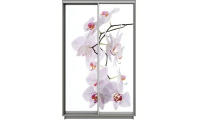 Dulap Print 2 Usi 2071, L100 x H220 x A60