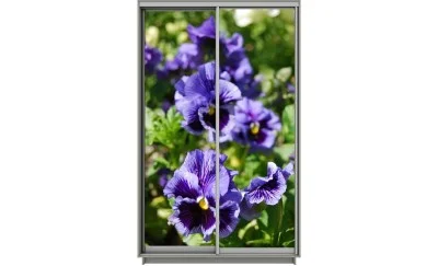 Dulap Print 2 Usi 2075, L100 x H220 x A60