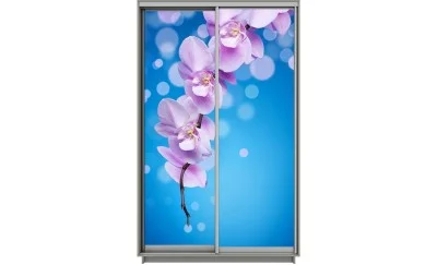 Dulap Print 2 Usi 2081, L100 x H220 x A60