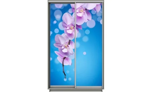 Dulap Print 2 Usi 2081, L100 x H220 x A60