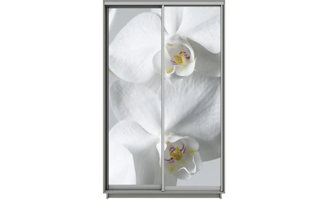 Dulap Print 2 Usi 2082, L100 x H220 x A60