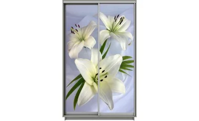 Dulap Print 2 Usi 2084, L100 x H220 x A60