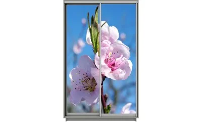 Dulap Print 2 Usi 2085, L100 x H220 x A60