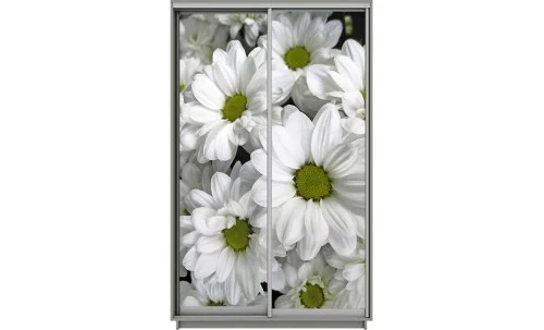 Dulap Print 2 Usi 2094, L100 x H220 x A60