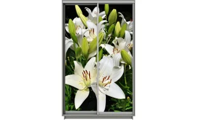 Dulap Print 2 Usi 2103, L100 x H220 x A60