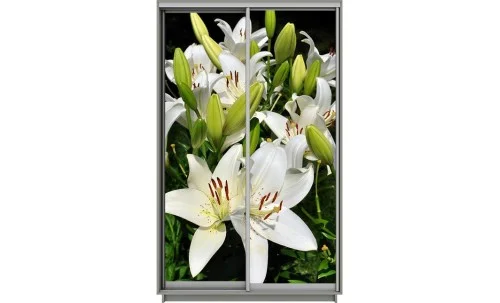 Dulap Print 2 Usi 2103, L100 x H220 x A60