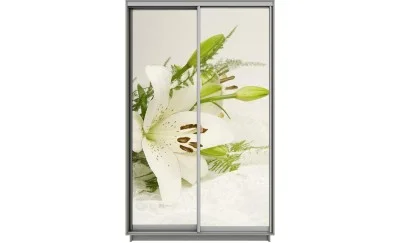 Dulap Print 2 Usi 2105, L100 x H220 x A60