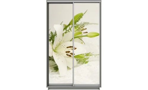 Dulap Print 2 Usi 2105, L100 x H220 x A60