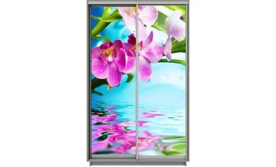 Dulap Print 2 Usi 2107, L100 x H220 x A60