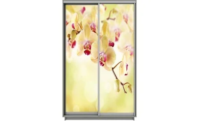 Dulap Print 2 Usi 2119, L100 x H220 x A60