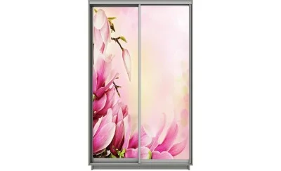 Dulap Print 2 Usi 2125, L100 x H220 x A60