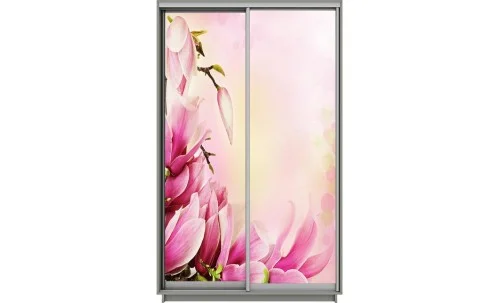 Dulap Print 2 Usi 2125, L100 x H220 x A60