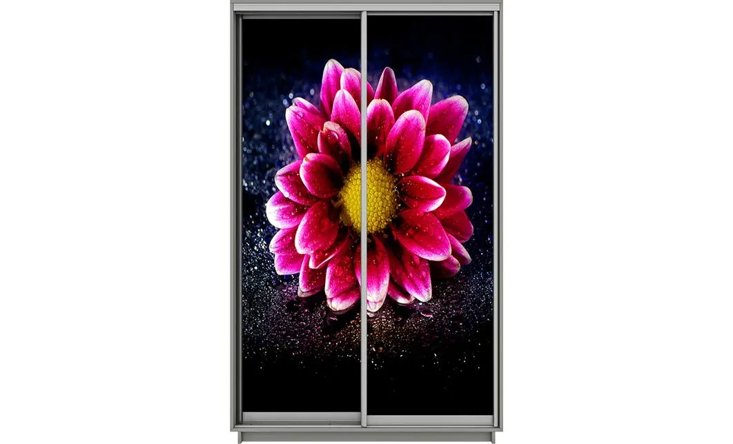 Dulap Print 2 Usi 2127, L100 x H220 x A60