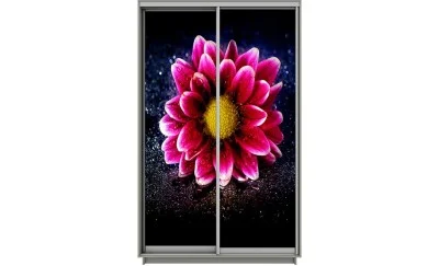 Dulap Print 2 Usi 2127, L100 x H220 x A60