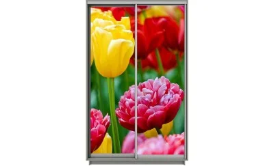 Dulap Print 2 Usi 2132, L100 x H220 x A60