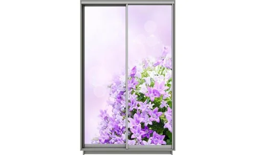 Dulap Print 2 Usi 2135, L100 x H220 x A60