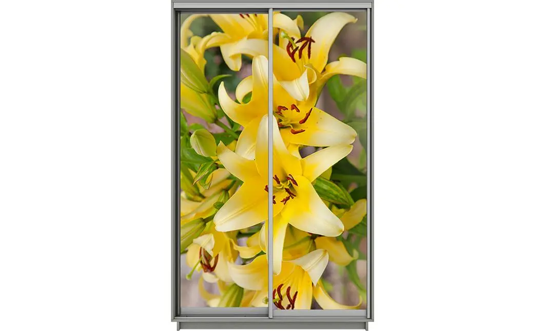 Dulap Print 2 Usi 2164, L100 x H220 x A60