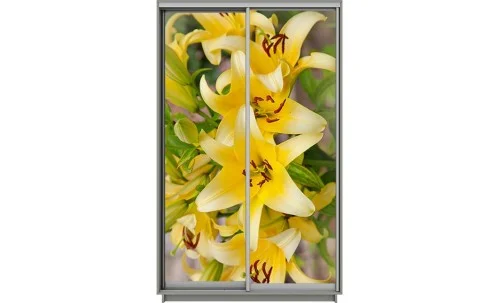 Dulap Print 2 Usi 2164, L100 x H220 x A60