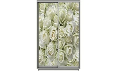 Dulap Print 2 Usi 2166, L100 x H220 x A60