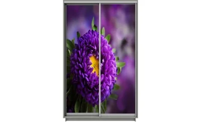 Dulap Print 2 Usi 2167, L100 x H220 x A60