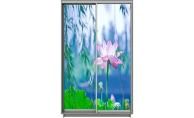 Dulap Print 2 Usi 2168, L100 x H220 x A60