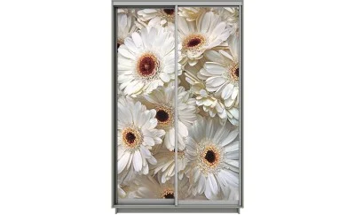 Dulap Print 2 Usi 2170, L100 x H220 x A60