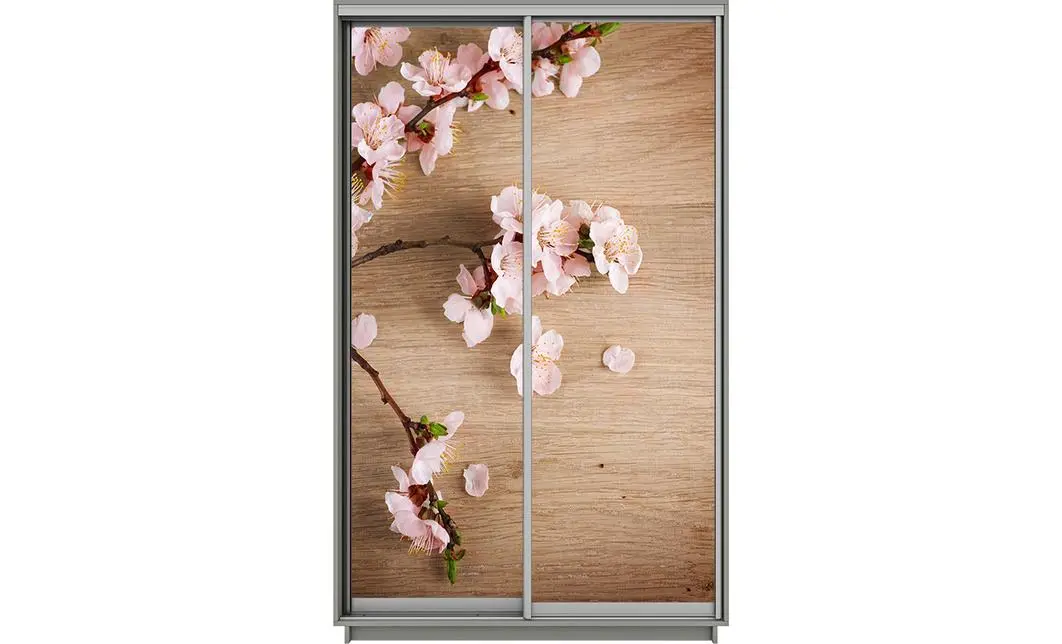 Dulap Print 2 Usi 2179, L100 x H220 x A60