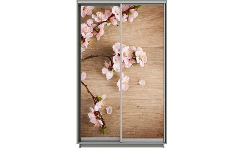 Dulap Print 2 Usi 2179, L100 x H220 x A60