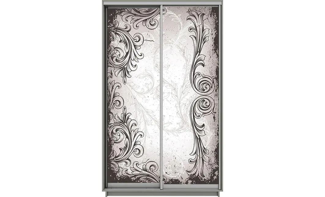 Dulap Print 2 Usi 2665, L100 x H220 x A60