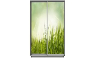 Dulap Print 2 Usi 1735, L100 x H220 x A60