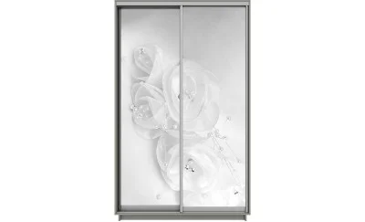 Dulap Print 2 Usi 1948, L100 x H220 x A60