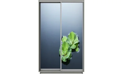 Dulap Print 2 Usi 2221, L100 x H220 x A60