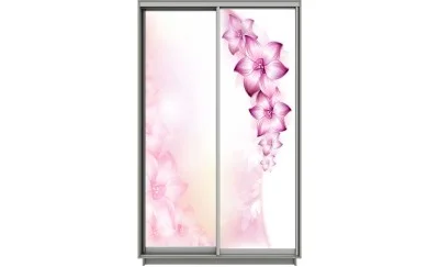 Dulap Print 2 Usi 2712, L100 x H220 x A60