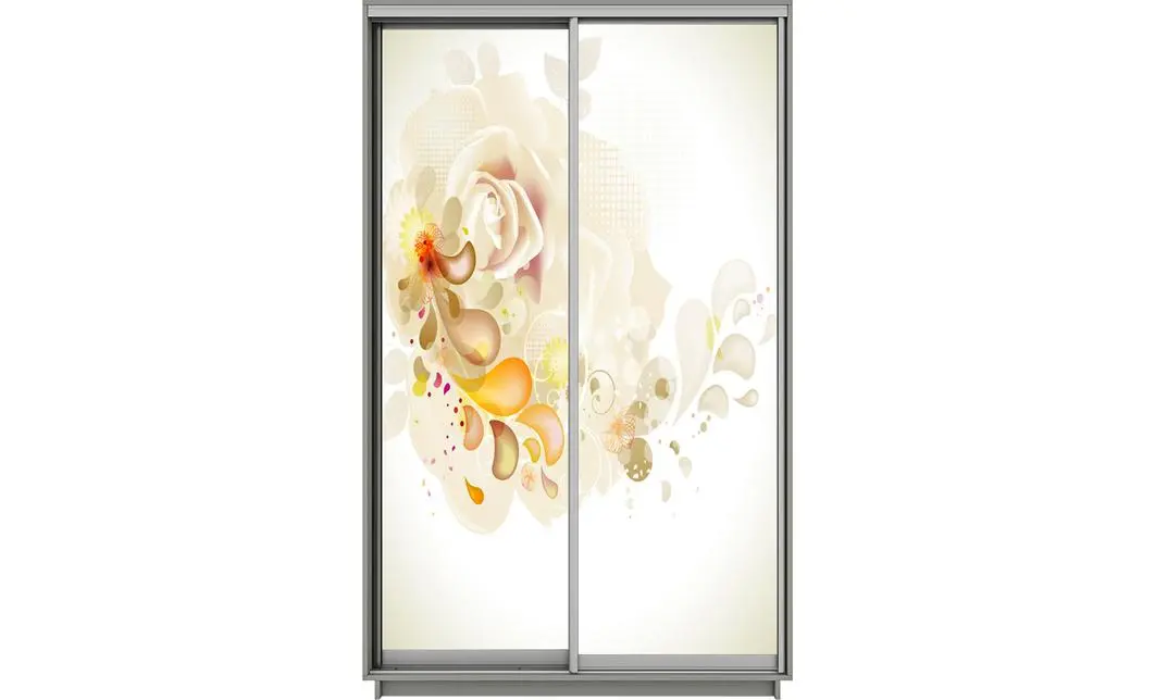 Dulap Print 2 Usi 2726, L100 x H220 x A60