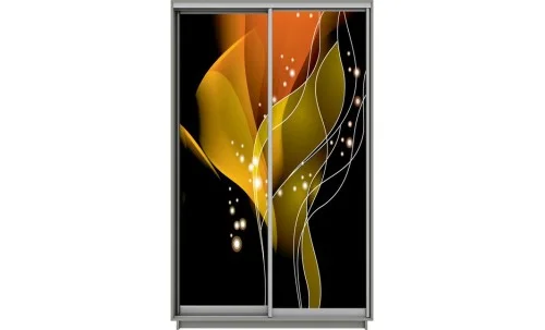 Dulap Print 2 Usi 2791, L100 x H220 x A60