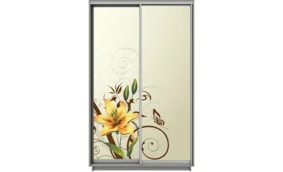 Dulap Print 2 Usi 2804, L100 x H220 x A60