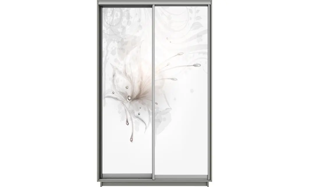 Dulap Print 2 Usi 2817, L100 x H220 x A60