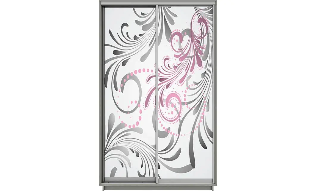 Dulap Print 2 Usi 2839, L100 x H220 x A60