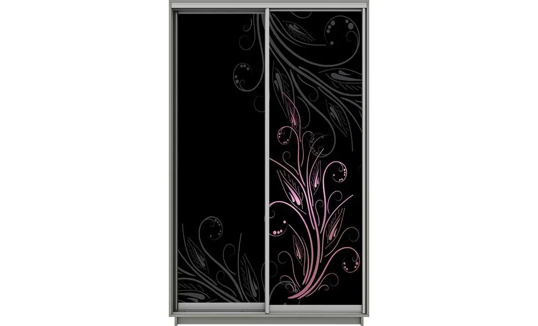 Dulap Print 2 Usi 2840, L100 x H220 x A60