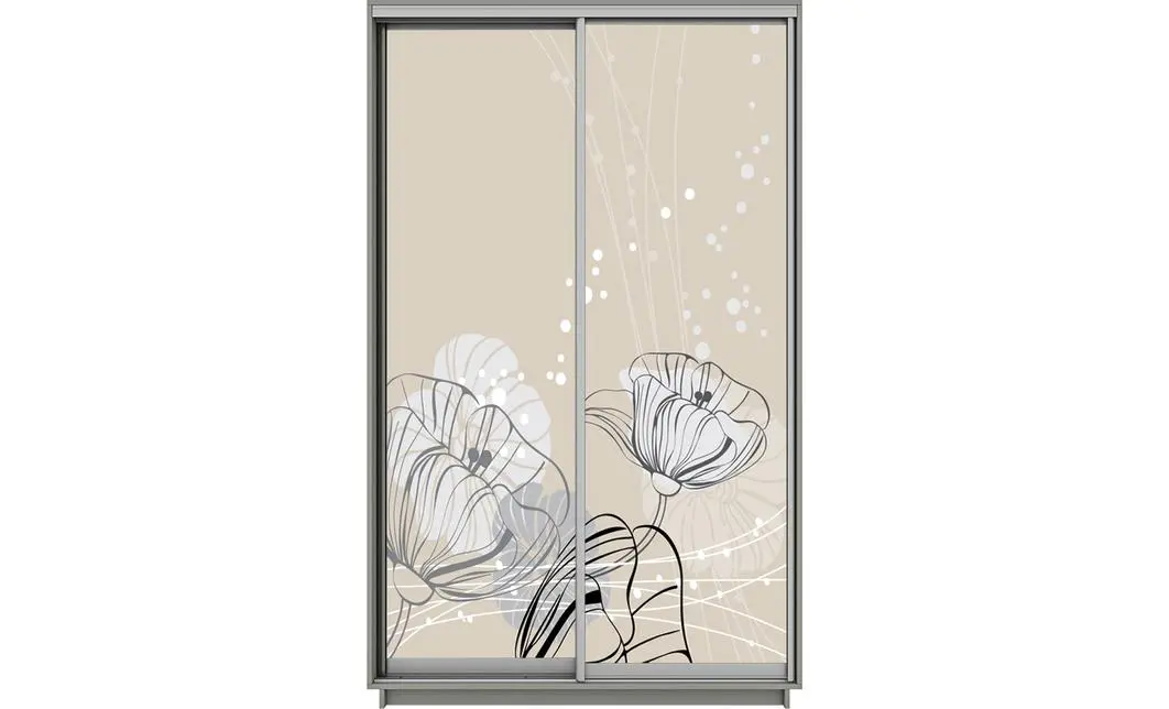 Dulap Print 2 Usi 2975, L100 x H220 x A60