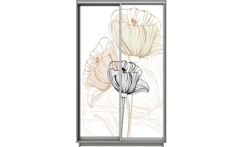 Dulap Print 2 Usi 2976, L100 x H220 x A60