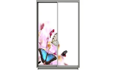 Dulap Print 2 Usi 3046, L100 x H220 x A60