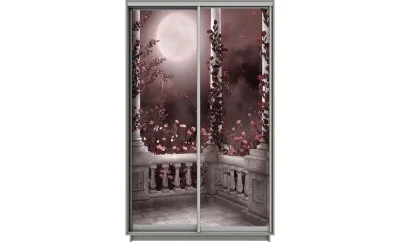 Dulap Print 2 Usi 1870, L100 x H220 x A60