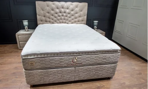 Pat Tapitat Ocaliptus 160x200