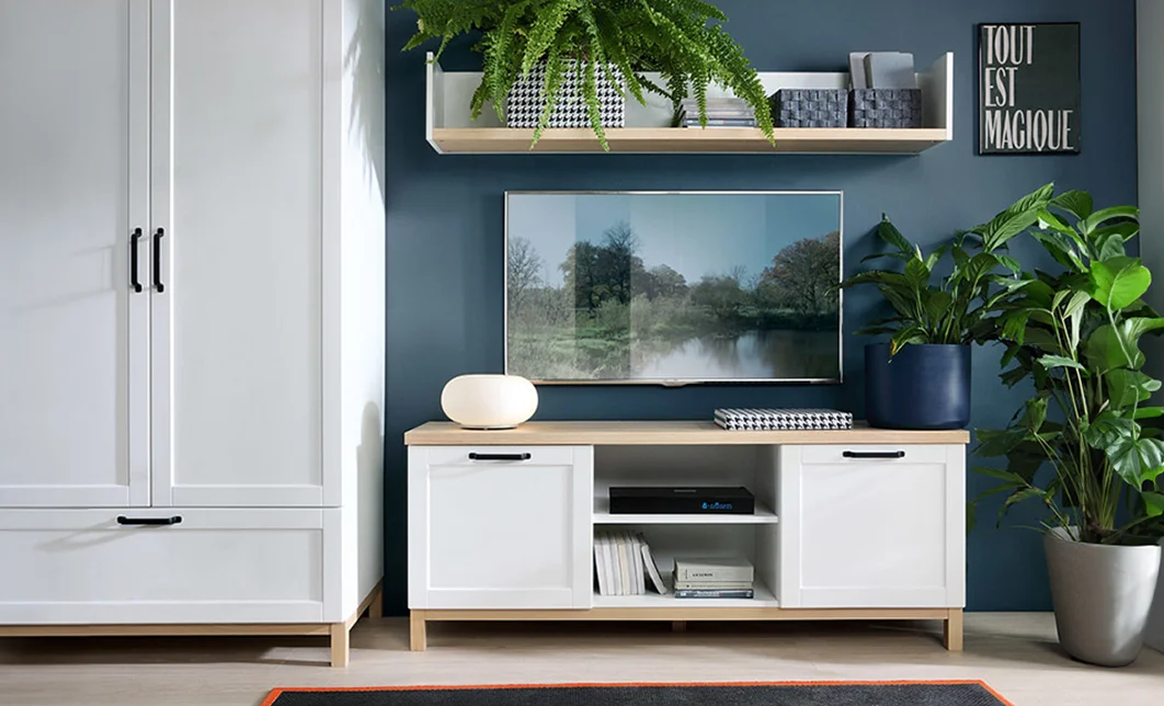 Mobilier Living Modular Haga 2