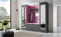 Cuier Hol Max 31, Grafit/ Roz - Trinity 10 1